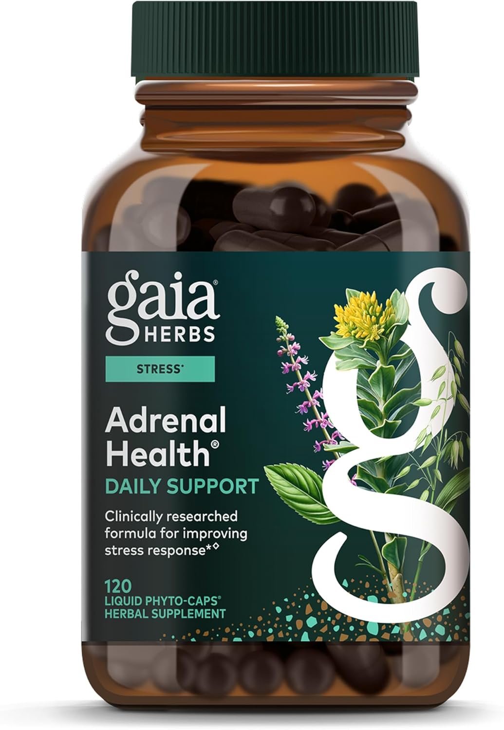 Gaia Herbs Adrenal Health Daily Support – Herbal Supplement with Ashwagandha, Holy Basil & Schisandra – Help Maintain Healthy Energy & Stress Levels* – 120 Vegan Liquid Phyto-Caps (60 Servings)